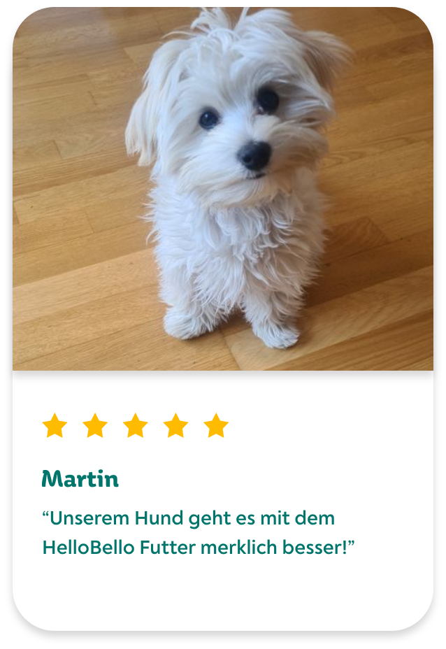 Hundefutter Rezept review Martin Hundefutter Rezept review Martin