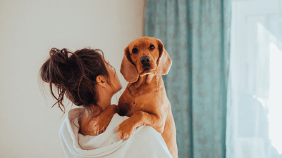 Hunde-Lebenselixir: 10 Tipps für ein langes und glückliches Hundeleben