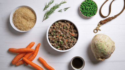 Jetzt mit HelloBello zum besten Futter für wählerische Hunde wechseln