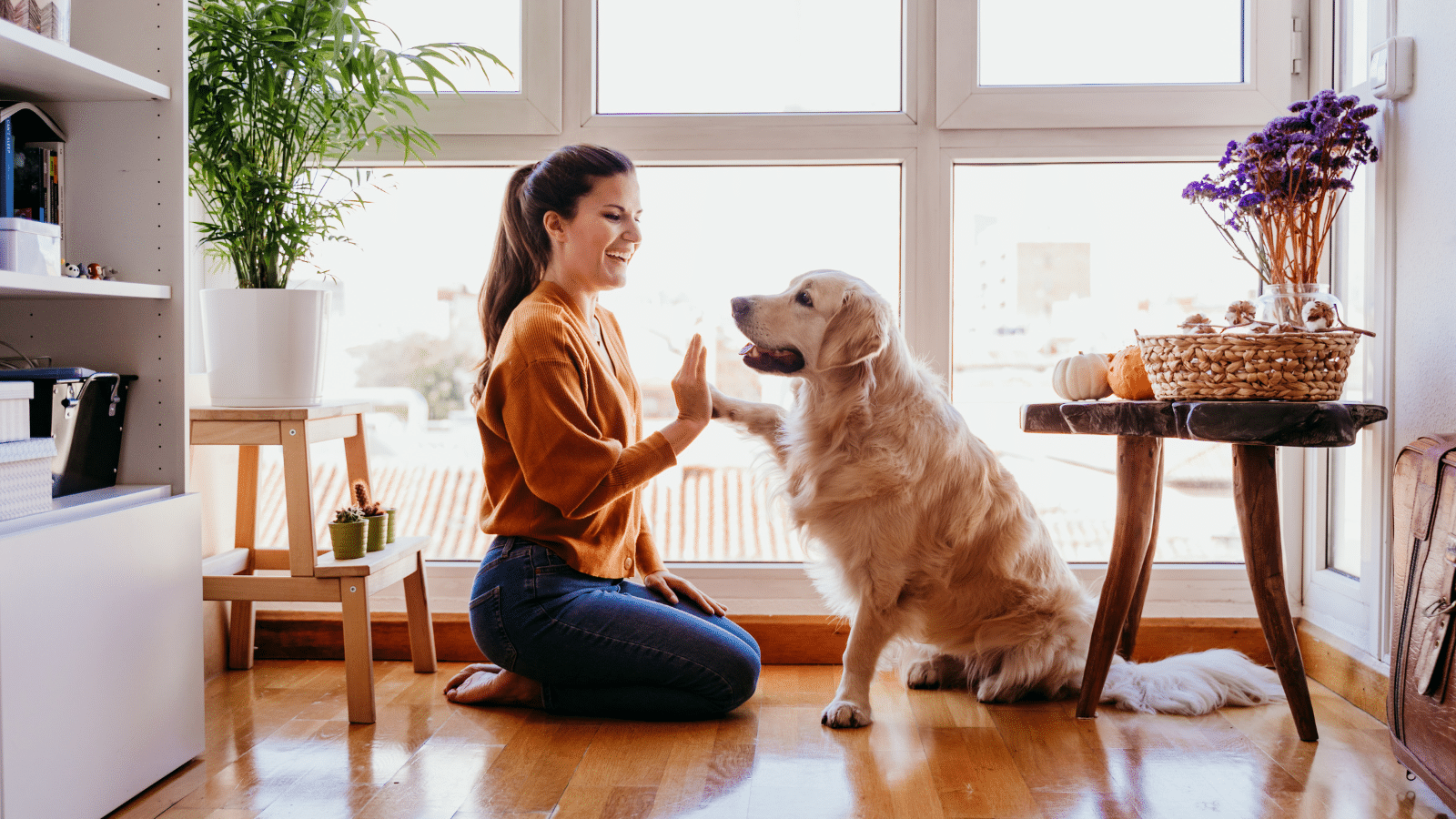 helene fischer und dildo Warum Lachen die falsche Reaktion ist by Entdecke deinen Hund main image 1