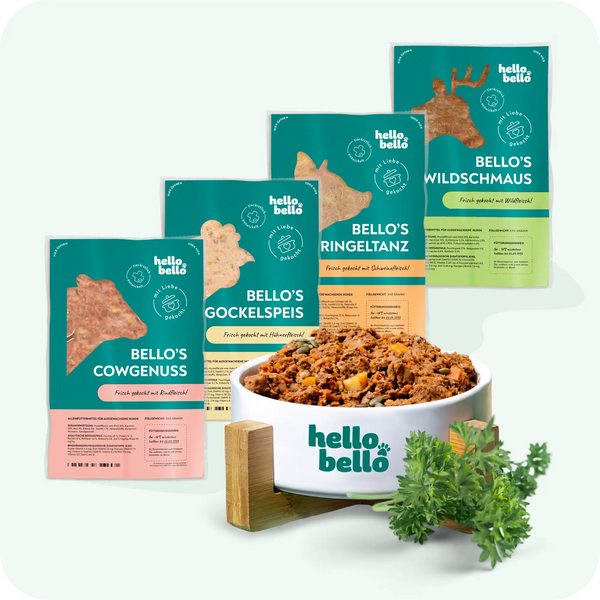 Frischfutter für Energiebedarf von 1024 kCal/Tag