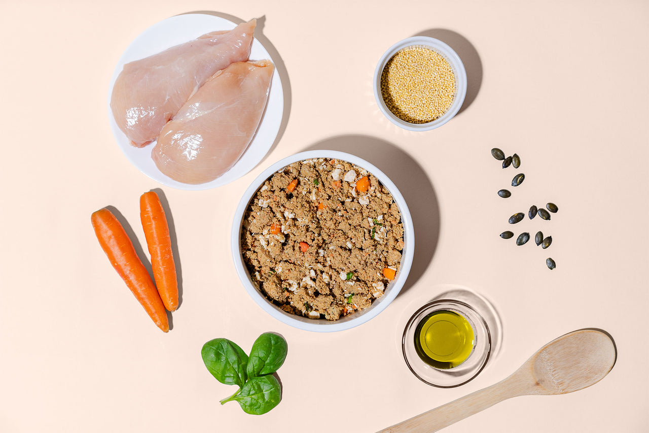 HelloBello Frischfutter mit Huhn Gockelspeis