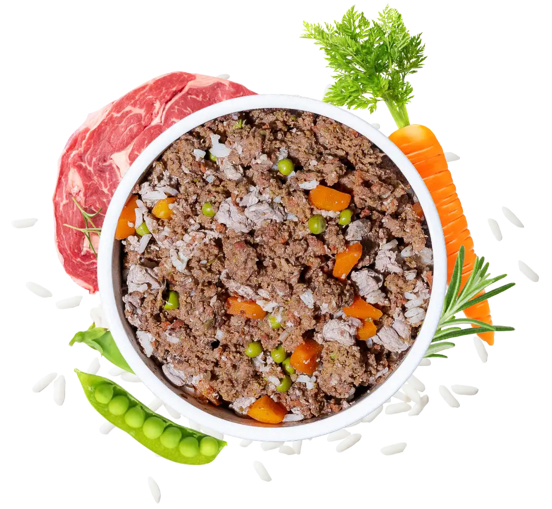 HelloBello Frischfutter mit Rind Cowgenuss