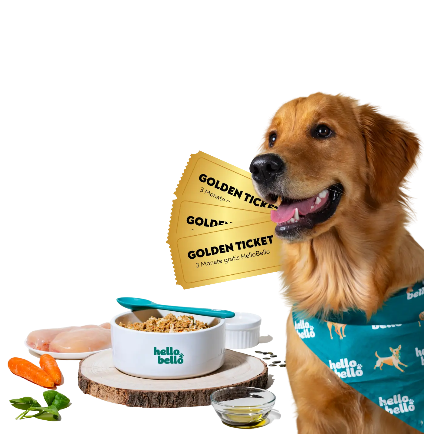 Golden Retriever zeigt goldene Tickets