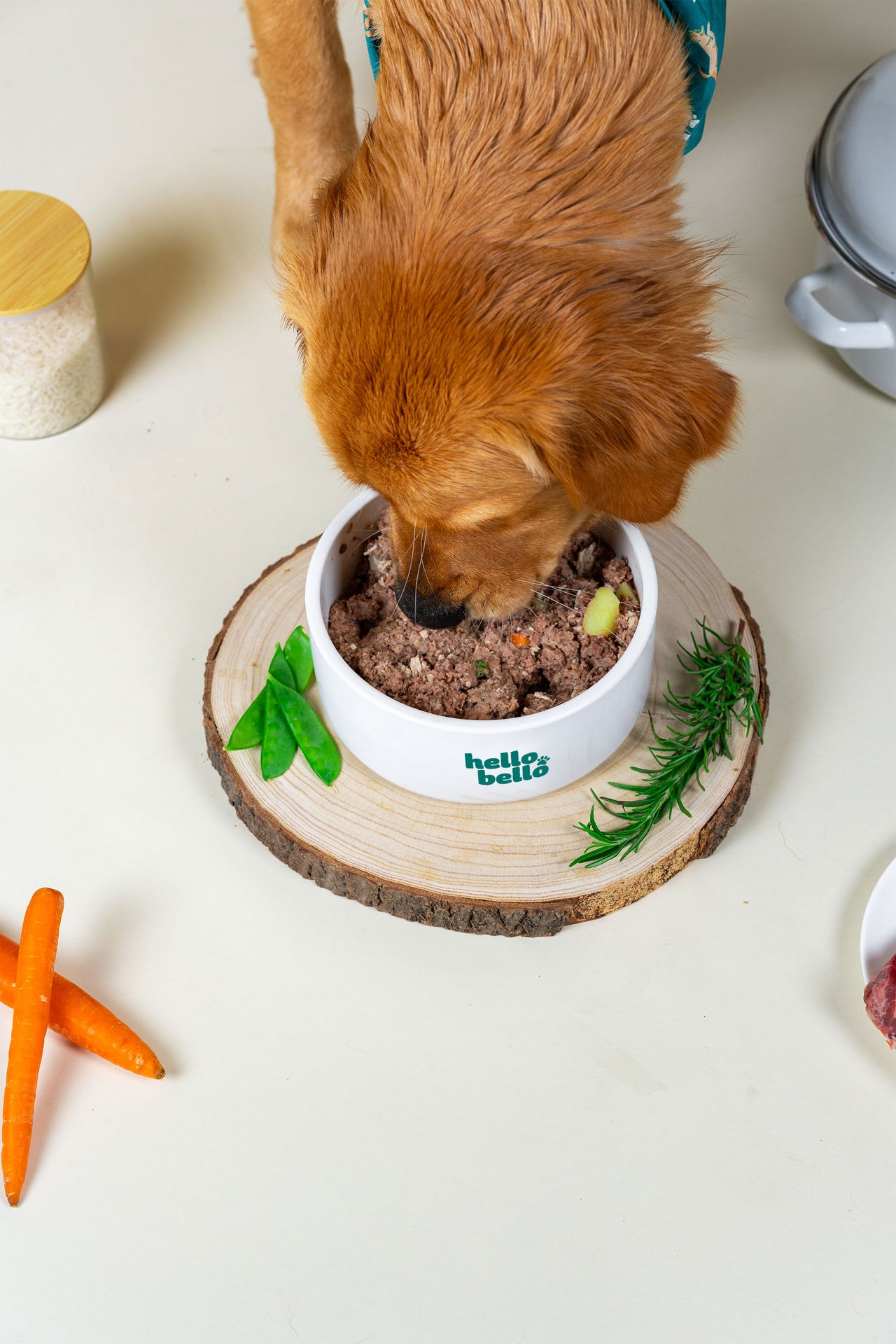 Rigeltanz HelloBello Frischfutter mit Schwein