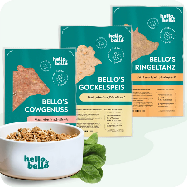 Frischfutter für Energiebedarf (SP)