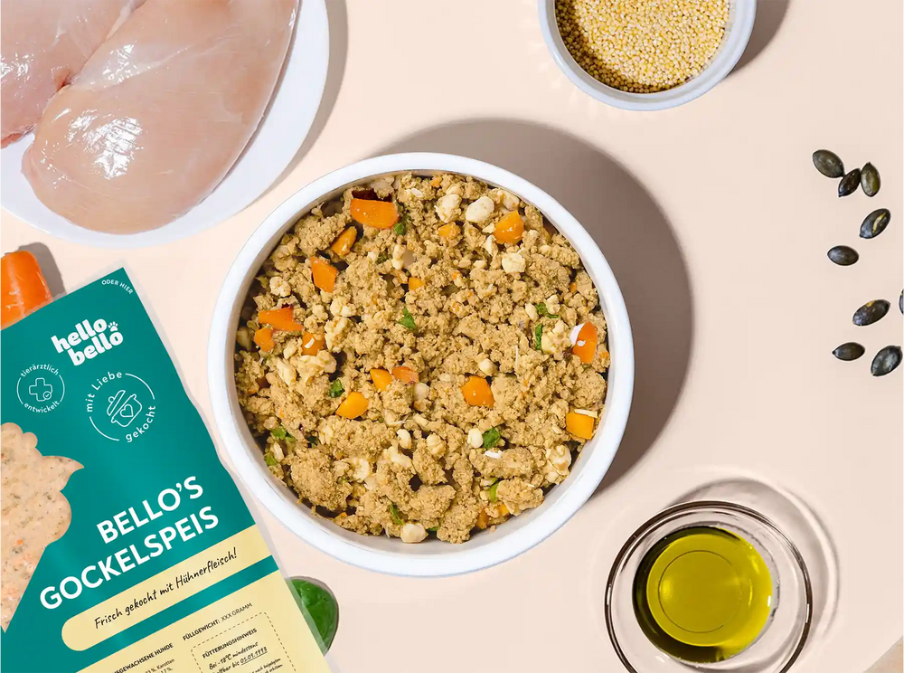 Hauptbild frisches Rezept