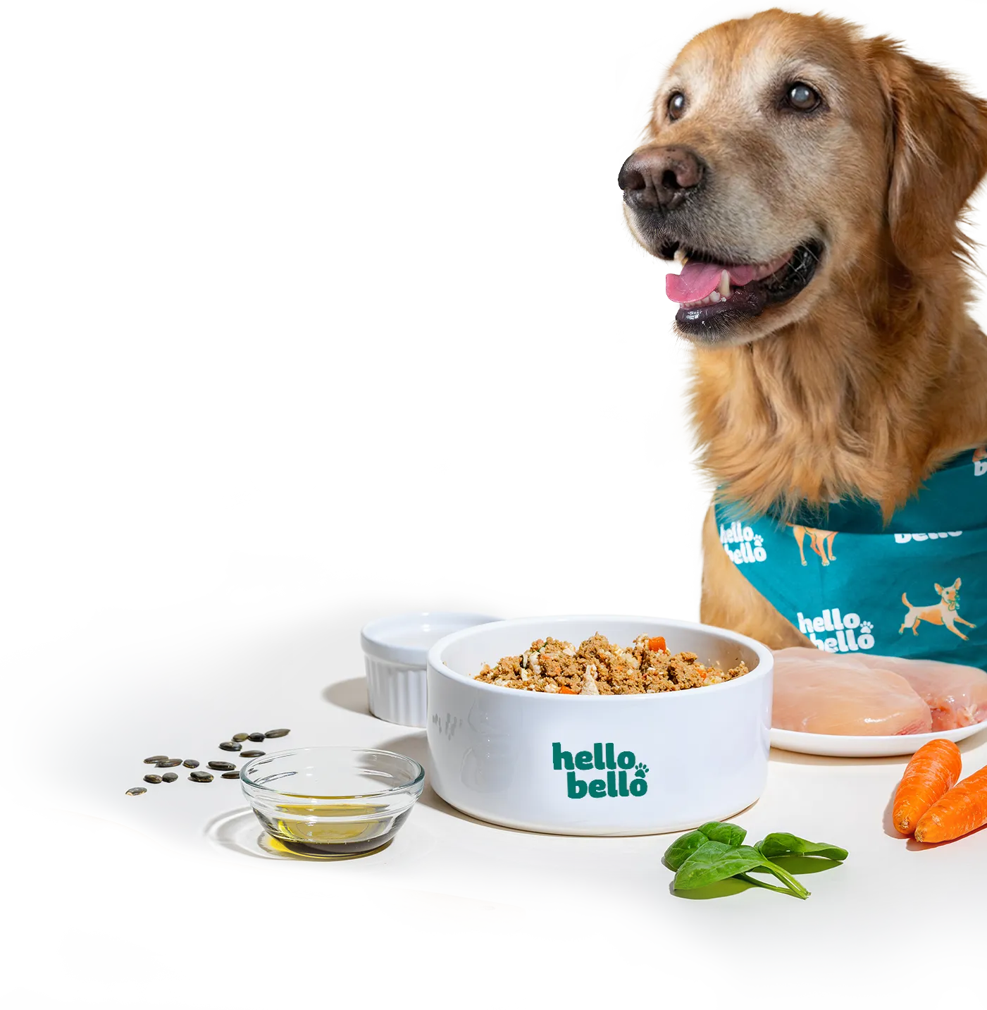 Frisch gekochtes Senior Hundefutter | HelloBello
